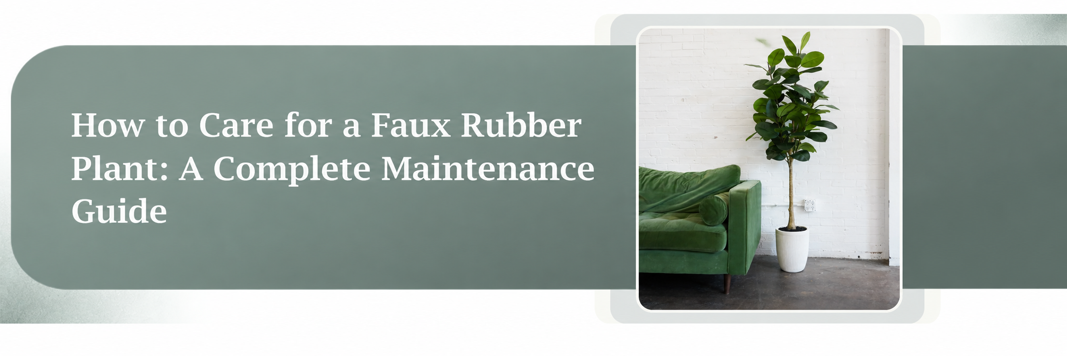 How to Care for a Faux Rubber Plant: A Complete Maintenance Guide