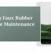 How to Care for a Faux Rubber Plant: A Complete Maintenance Guide