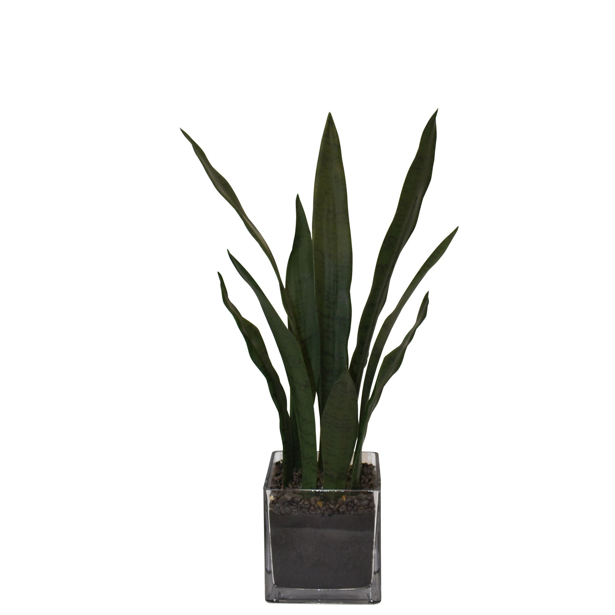 faux snake plant tabletop Buy Realistic Tabletop Snake Plant
