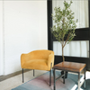 How To Choose The Right-Sized Artificial Tree And Plant?