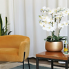 How to Choose Artificial Orchids: A Buyer's Guide