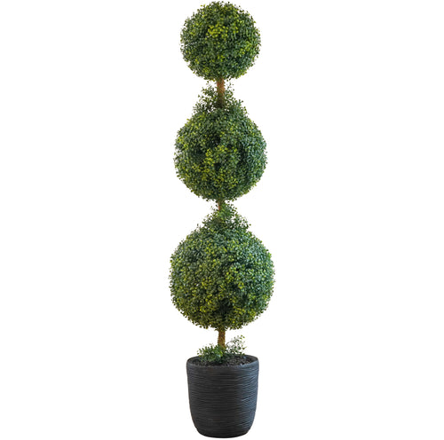 5ft Boxwood Topiary