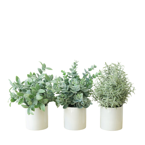 Arificial Succulent Trio in Ceramic Pots