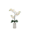 25" Natural Touch Tabletop Orchid