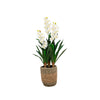 42" Natural Touch Orchid