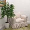 5ft Willow Tree
