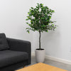 5ft Green Tree