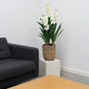 42" Natural Touch Orchid