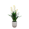 4ft Natural Touch Orchid in Ceramic