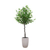 5ft Green Tree