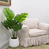 4ft Monstera in Cement