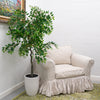 5ft Willow Tree