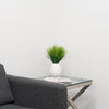 Desktop Artificial Grass