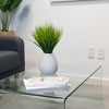 Desktop Artificial Grass