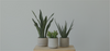 Artificial plants arrangement - high-quality fake greenery for stylish home decoration