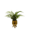 Desktop Artificial Palm