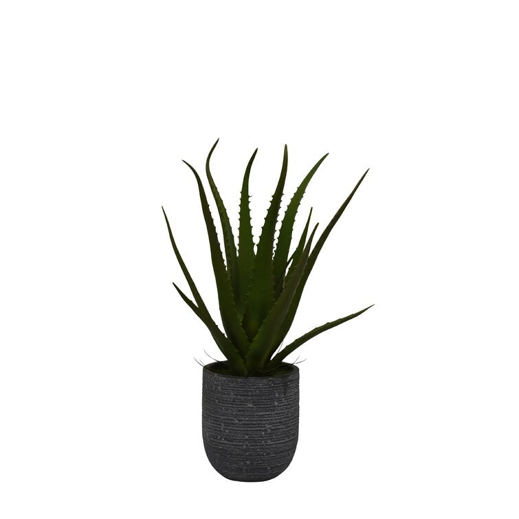 fake aloe vera plant Shop Artificial Desktop Aloe Plant