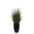 4ft Foliage grass