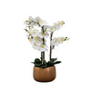 Artificial Orchid Centerpiece