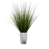 Tabletop Foliage