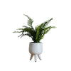 Desktop Artificial Palm