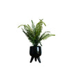 Desktop Artificial Palm