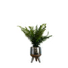 Desktop Artificial Palm