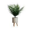 Tabletop Artificial Palm