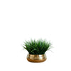 Desktop Greenery Bowl