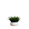 Desktop Greenery Bowl