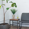 Tabletop Artificial Palm