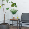Tabletop Artificial Palm