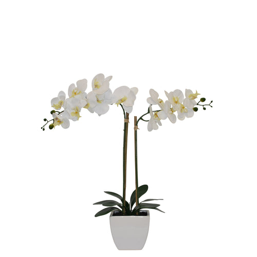 Tabletop Artificial Orchid in Ceramic Pot