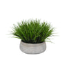 Desktop Greenery Bowl