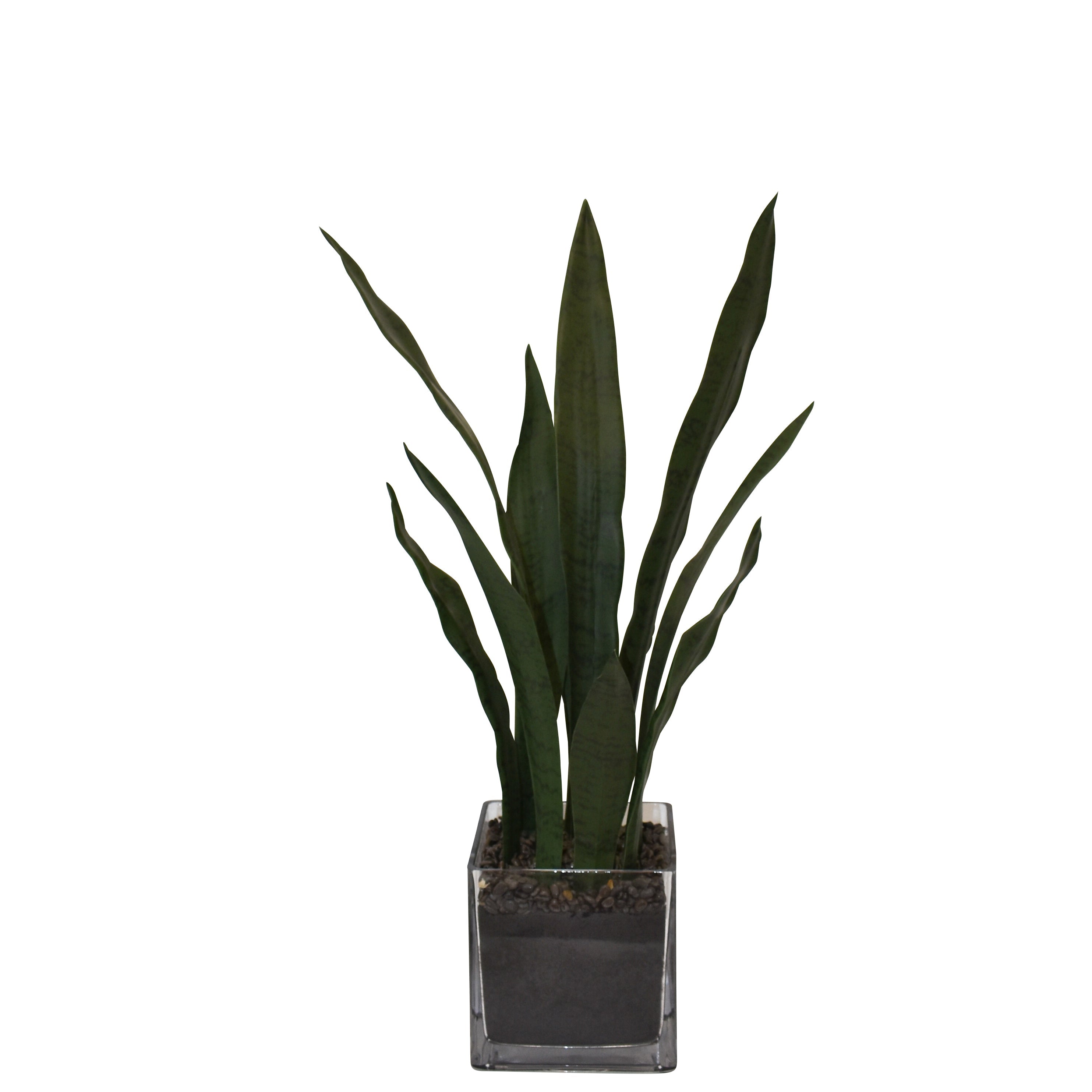 faux snake plant canada Buy Realistic Tabletop Snake Plant