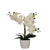 Desktop Artificial Orchid